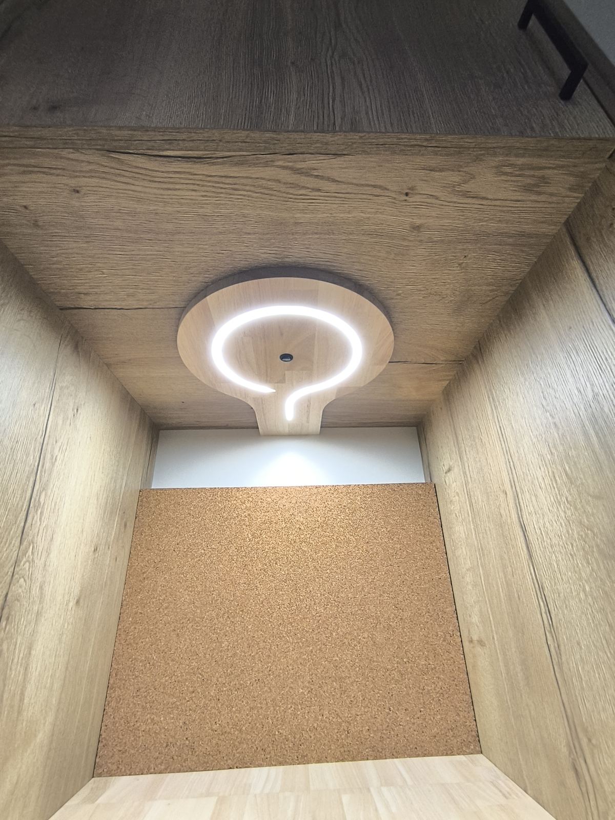 Niche de dressing avec un plafonnier LED circulaire encastré dans le bois